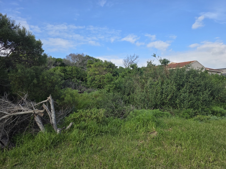 0 Bedroom Property for Sale in Paradise Beach Eastern Cape